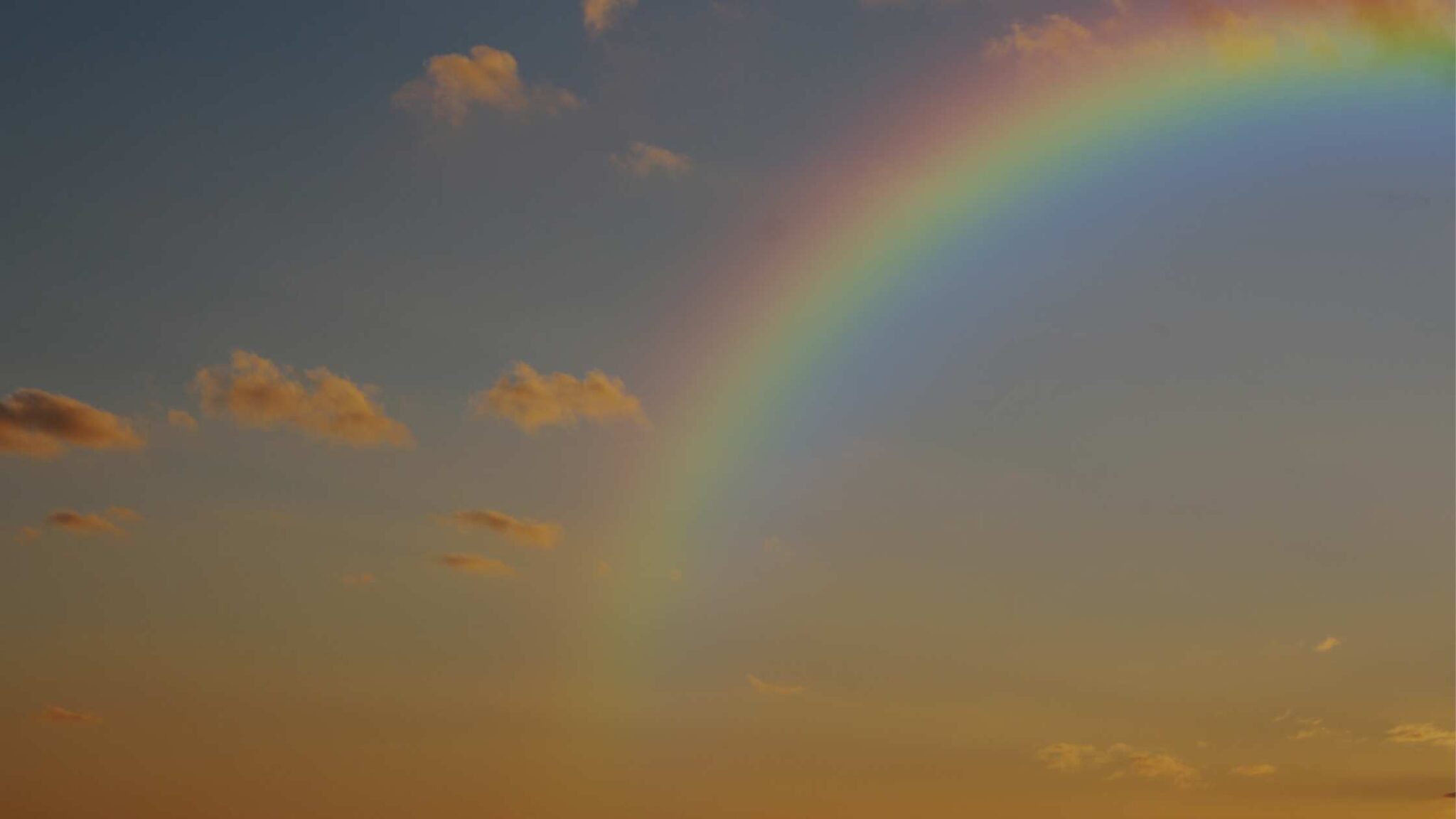 rainbow hope